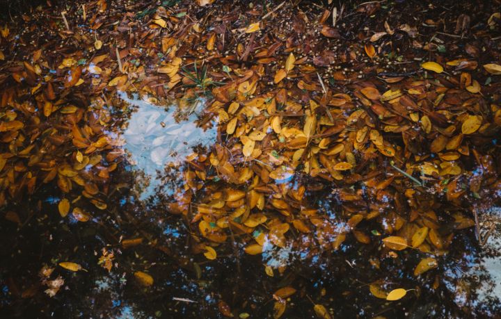 Шквалистый ветер в сочетании с дождём и грозами: в ЛНР на 28 октября прогнозируют ухудшение погоды 