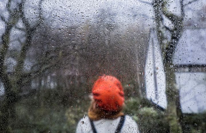 Дождь с сильным ветром и туман ожидаются в ЛНР в последний день октября: прогноз по каждому городу 