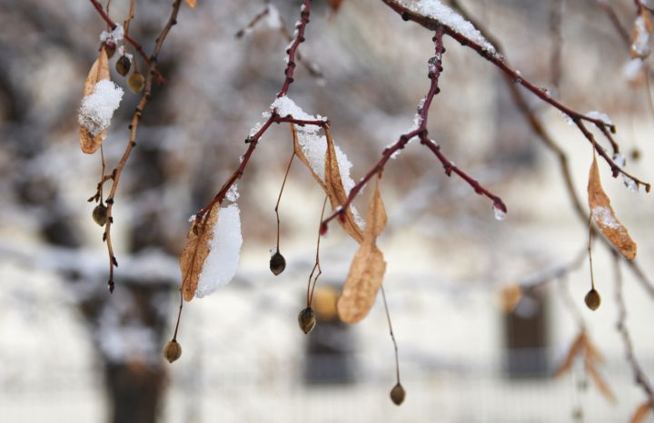 Когда ждать первый снег и похолодание: прогноз на ноябрь для ЛНР и Ростовской области