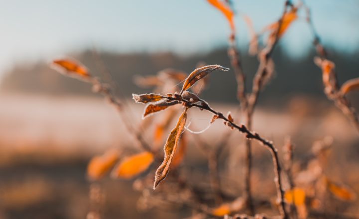 Месяц начнётся с лёгкого дождя и сильного ветра: прогноз погоды на 1 ноября