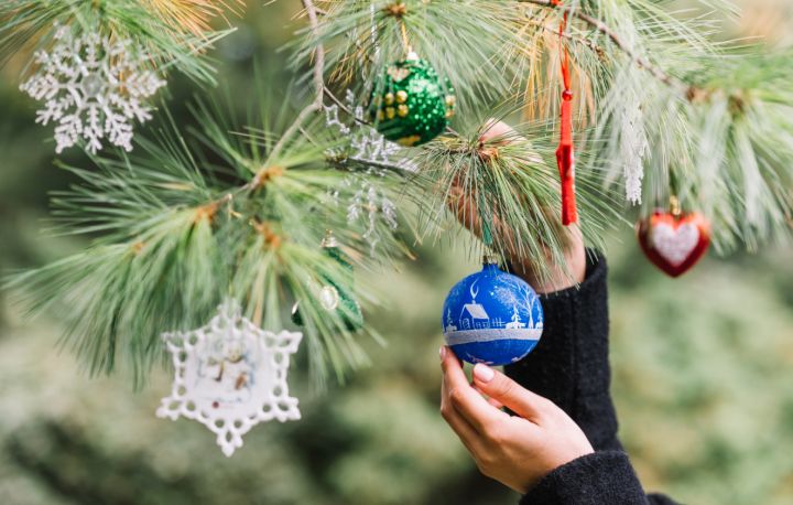 Мошенники продают жителям ЛНР несуществующие «новогодние путёвки»