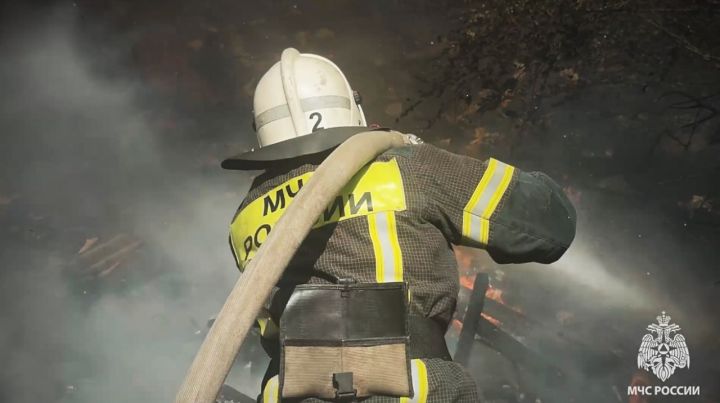 Обычное замыкание привело к беде: в ЛНР на пожаре погибла женщина 