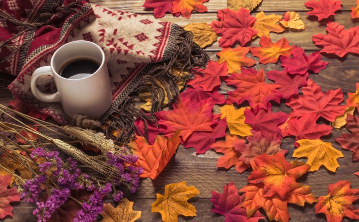 Нетипично тёплая погода для предпоследнего месяца: в ЛНР 4 ноября ожидается до +14