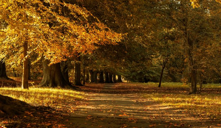 Погода ещё порадует теплом: синоптики дали прогноз в ЛНР на 6 ноября 