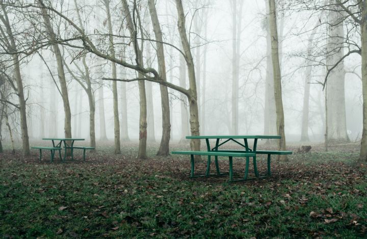 Ночной туман и дневное тепло: синоптики сообщили о погоде в ЛНР на выходных 