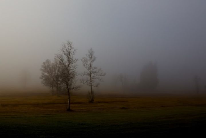 Туман и заморозки ожидаются в ЛНР 9 ноября