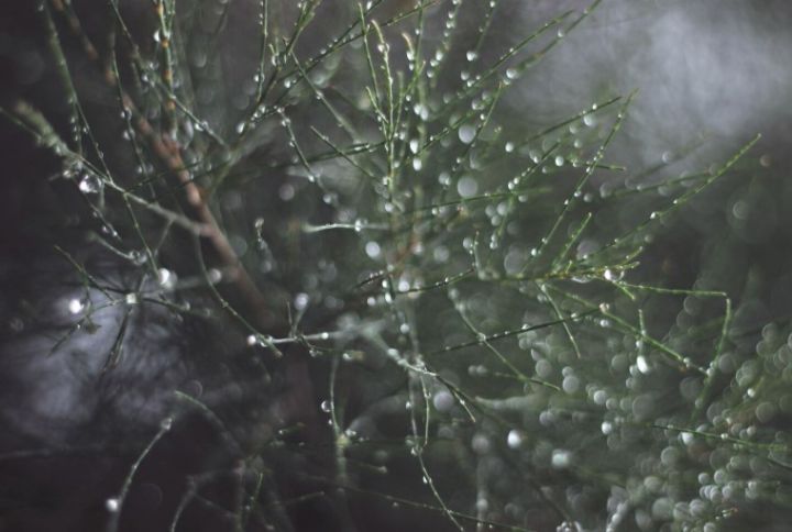 Новая неделя в ЛНР начнётся с дождей и тумана