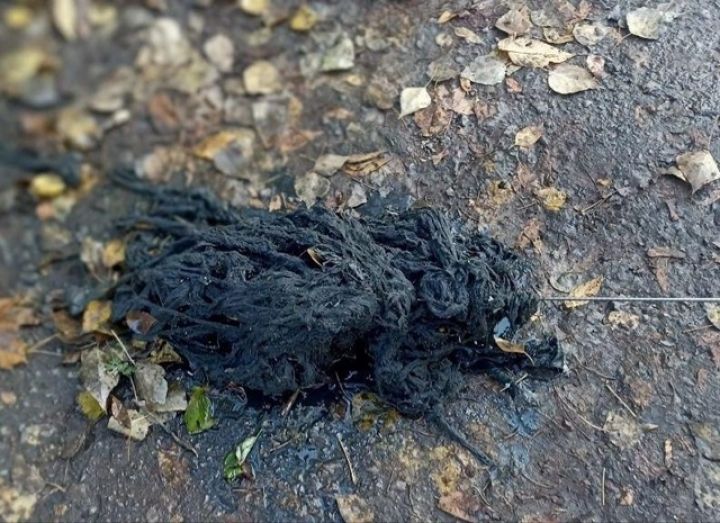 Когда канализация превращается в мусоропровод: кадры из водостоков от «Луганскводы» - не для впечатлительных