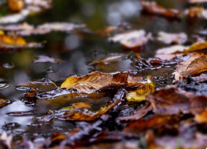 Дожди ожидаются по территории ЛНР 16 ноября