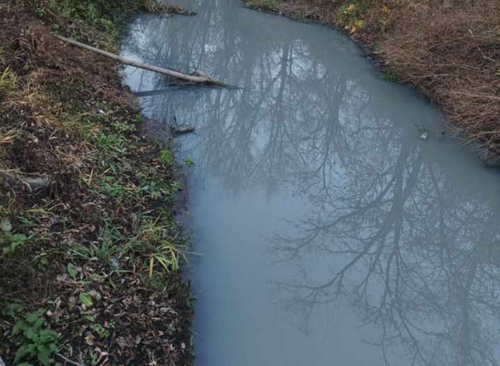 Река превращается в сточную канаву: названа главная причина загрязнения Ольховой