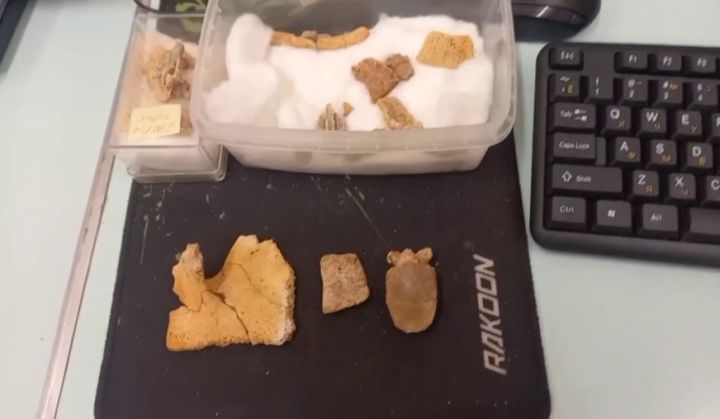 В ЛНР найден ранее неизвестный науке вид черепах