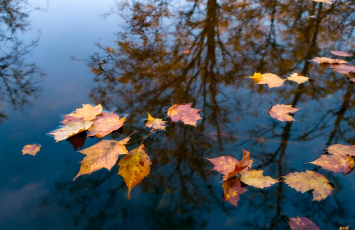 До +14°С, но с дождём: синоптики вновь прогнозируют потепление в ЛНР 