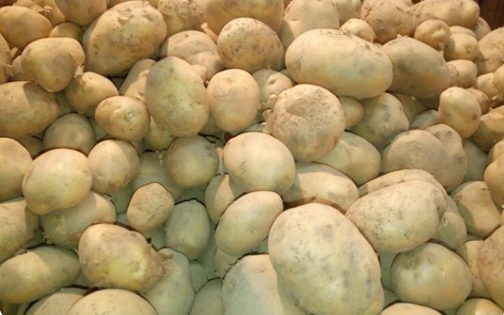 «Анна» – королева наших столов: какие сорта картофеля могут купить свердловчане в городе?