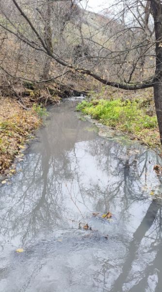Плачевное состояние двух водоёмов в ЛНР: жителям грозит экологическая катастрофа 