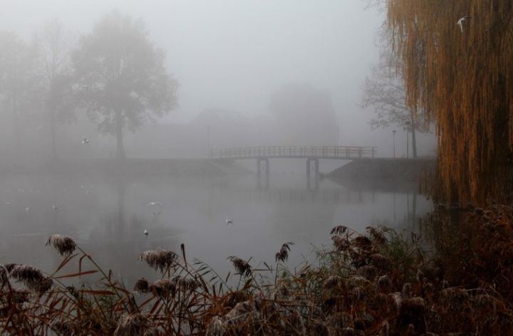Дождь и туман. Прогноз погоды в ЛНР и Луганске на 24 ноября