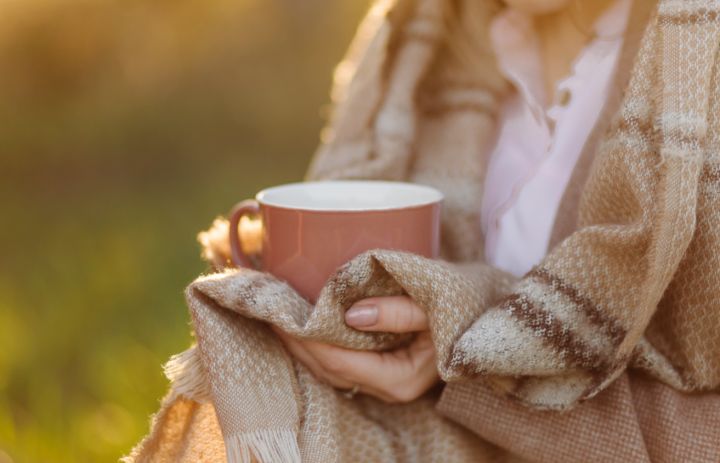 Метеоролог объяснил причину аномально тёплого ноября в ЛНР и Ростовской области 