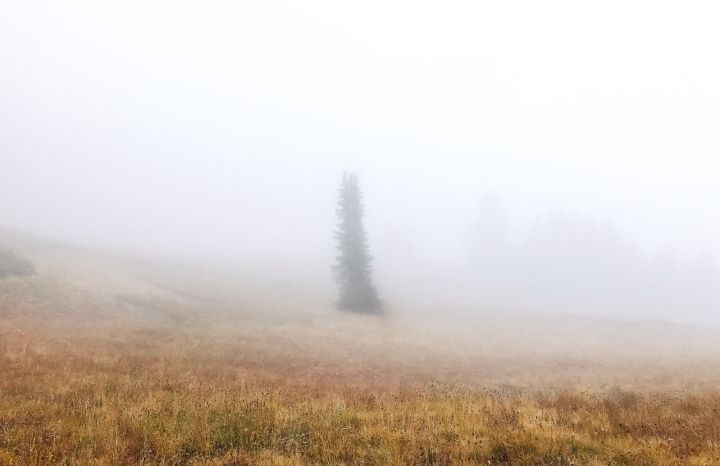 Без мороза, но с туманом: прогноз погоды в ЛНР на 27 ноября 