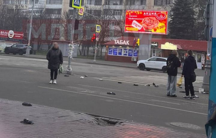 В центре Луганска неизвестные массово отравили голубей 