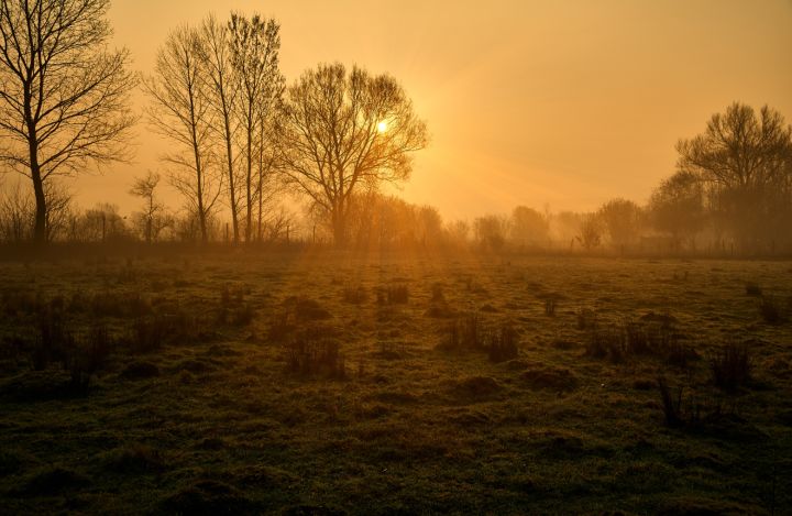 Конец ноября, а в ЛНР до +15°С: прогноз погоды на 28 ноября 