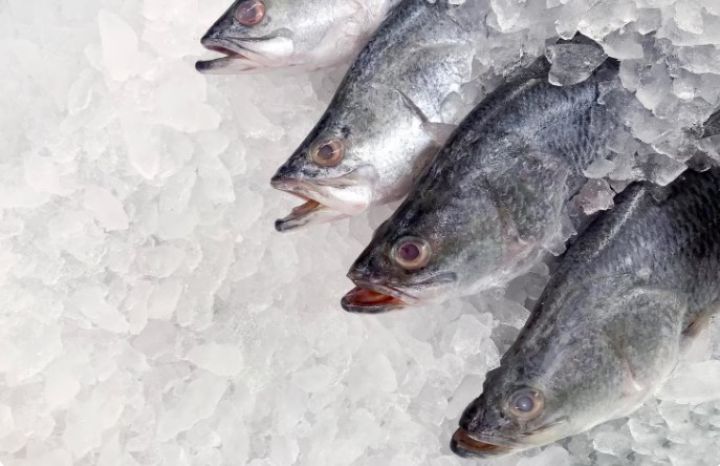 В РФ магазины ставят цены на рыбу с накруткой до 200% от себестоимости