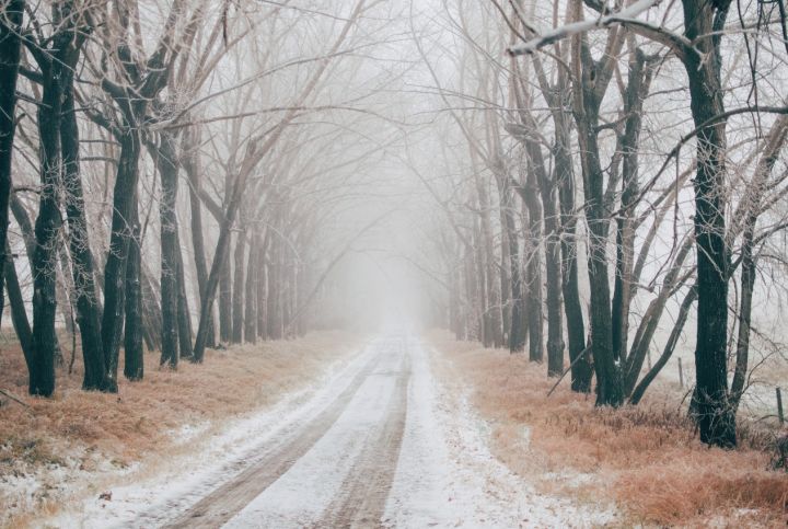 Ночной минус, туман и гололёд: какая погода ожидается в ЛНР в первый день зимы? 