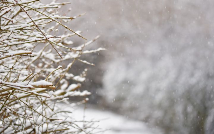 Погодные качели в граничащем с ЛНР регионе: в декабре ожидаются перепады от -13 до +10