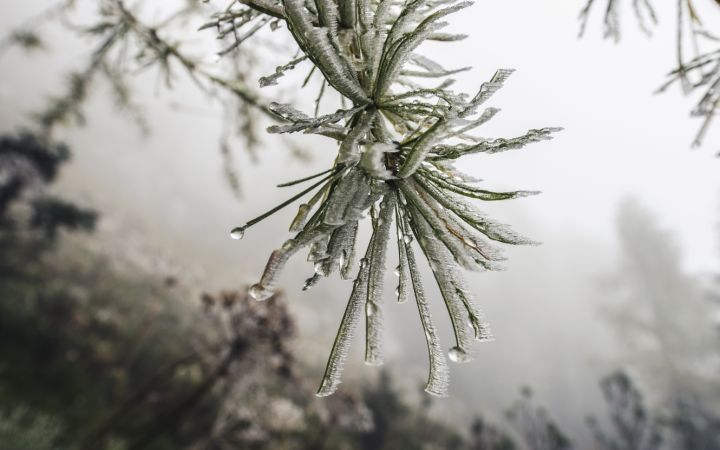 После снегопада дождь и оттепель: какой будет погода в ЛНР 10 декабря? 