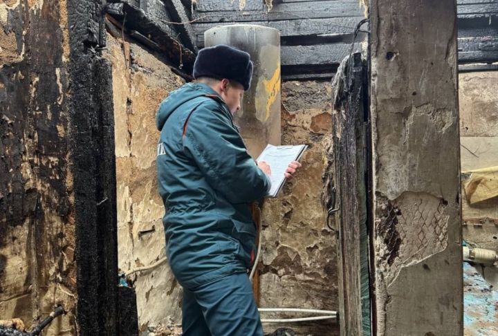 Пожар в ЛНР лишил женщину крыши над головой: пытаясь потушить его она едва не погибла сама 