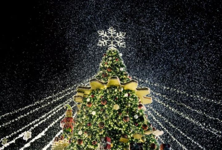 Донецк останется без главной новогодней ёлки