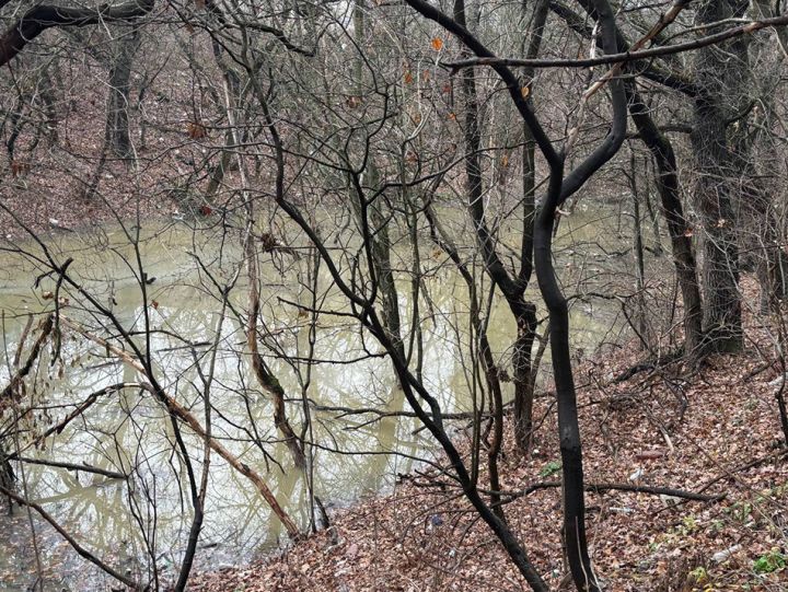 «Озеро между домами», или Канализационная катастрофа в Краснодоне