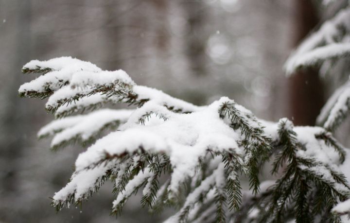 Метель, ветер и мороз: в ЛНР на выходных резко ухудшится погода 