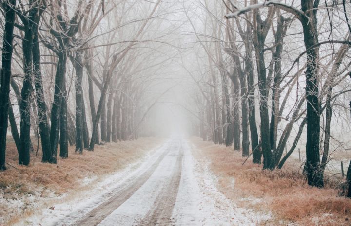 Осень и оттепель не отходят: в ЛНР 18 декабря прогнозируют туман и гололедицу 