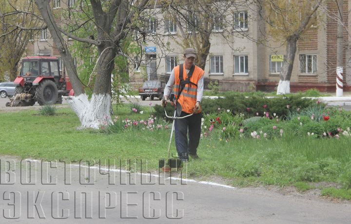 Покос травы и высадка цветов: Свердловск продолжает облагораживаться