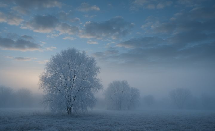 Туман, гололёд и изморозь прогнозируют в ЛНР 20 декабря: прогноз по каждому городу