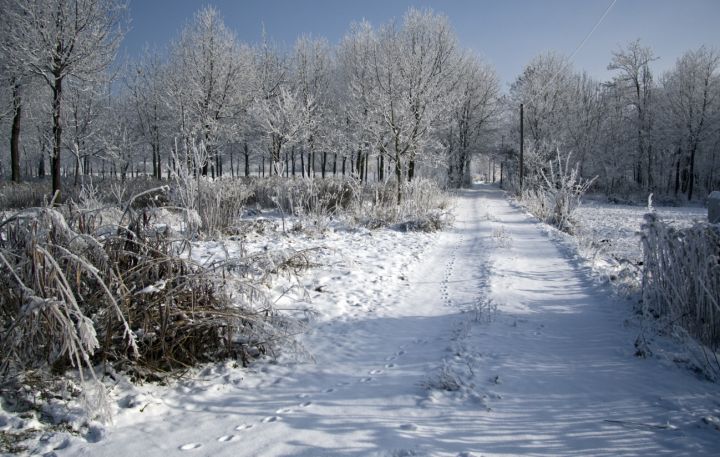 Морозы крепчают: в ЛНР 24 декабря прогнозируют резкое снижение температуры 