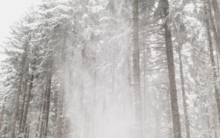 Внимание! Синоптики объявили о резком ухудшении погоды в ЛНР 