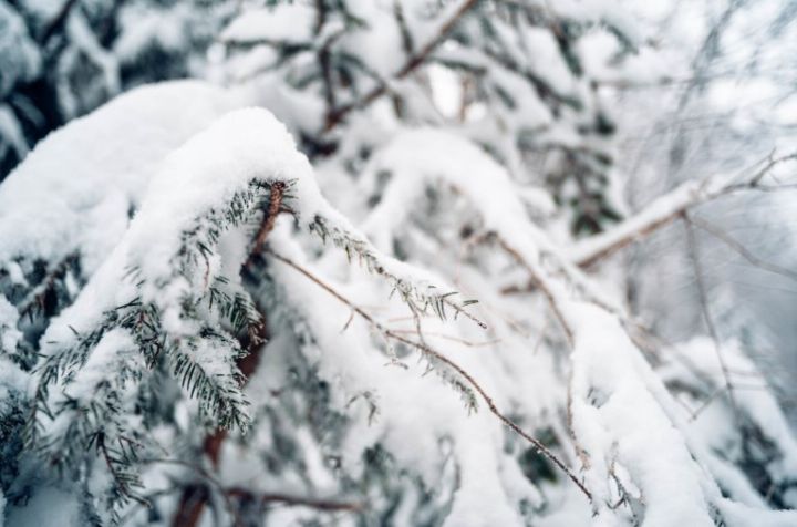 Метель, мороз и ветер: прогноз погоды в ЛНР на 29 декабря
