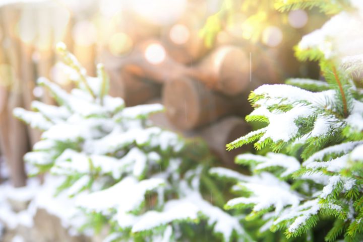 Синоптики рассказали, какой будет погода в новогоднюю ночь в ЛНР