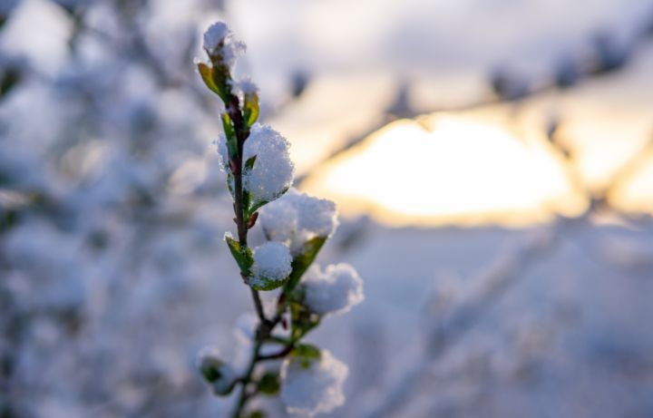 Первый день года будет морозным и снежным: прогноз погоды в ЛНР на 1 января