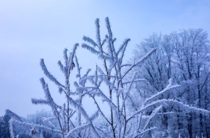 Мороз, гололёд и сильный ветер: прогноз погоды в ЛНР на 2 января
