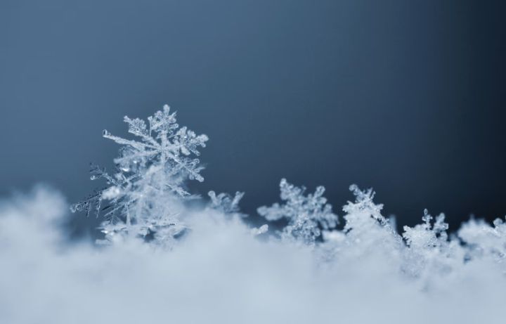 Потепление, налипание снега на проводах и ветер: прогноз погоды в ЛНР на 3 января