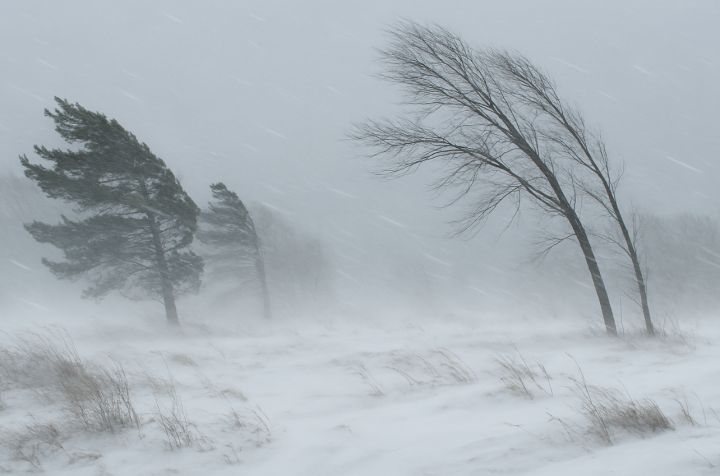 Непогода ударила по территории ЛНР: часть Республики осталась без света