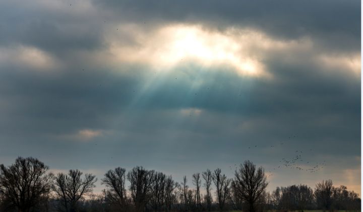 Снижение температуры и сильный ветер прогнозируют синоптики в ЛНР 9 января
