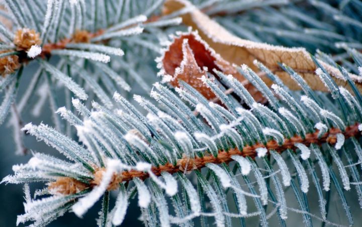 Мороз и днём, и ночью: прогноз погоды в ЛНР на 14 января 