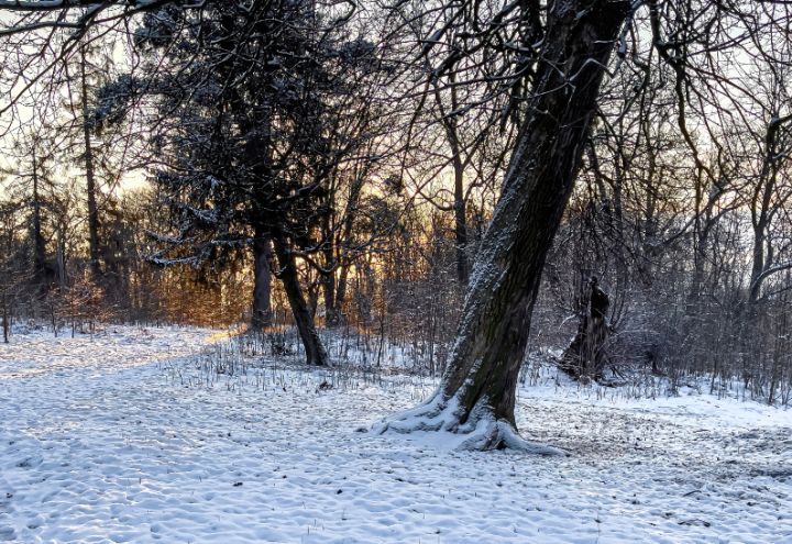 Местами пройдёт снег и будет всё так же морозно: прогноз погоды в ЛНР на 15 января 