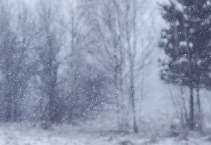 Сильный снегопад ожидается в Луганске в течение дня: УГИБДД дало водителям рекомендации