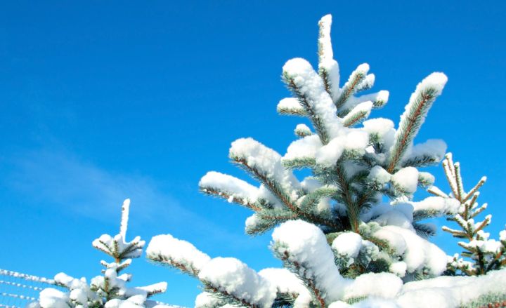 Крещение в ЛНР пройдёт без осадков, но с сильным морозом: прогноз погоды в праздничный день