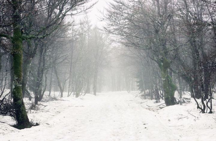 Мороз до -18 и метель прогнозируют синоптики в ЛНР 17 января(погода в каждом из городов)