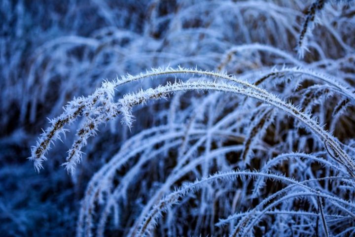 Сильные морозы до -20°С ожидаются в ЛНР 18 января