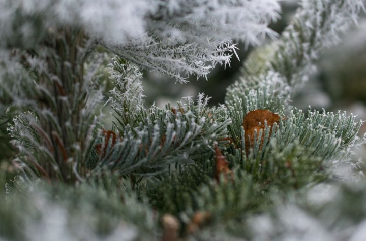 Температура ниже -20 и местами снег: прогноз погоды в ЛНР на 20 января